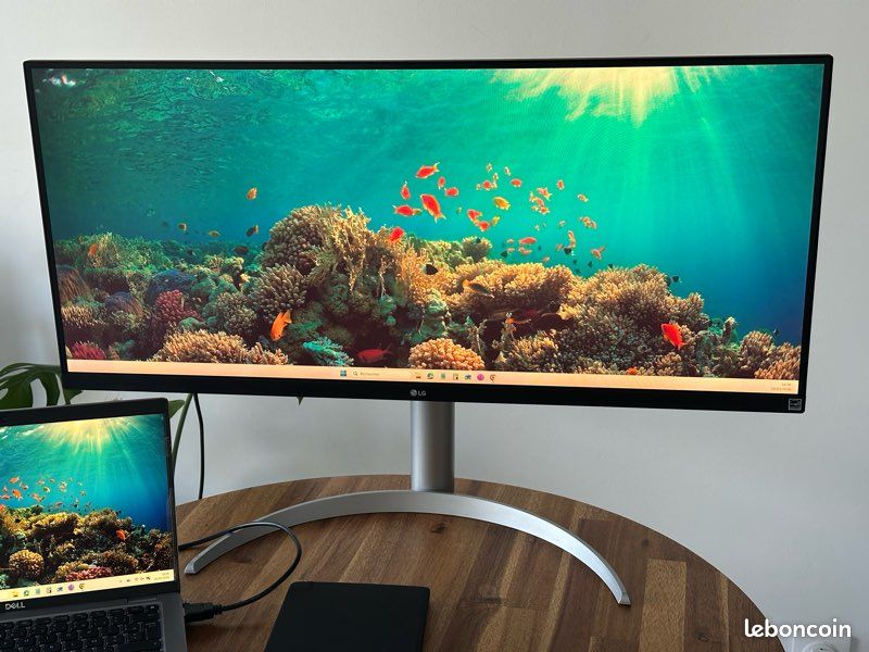Écran LG ultra wide 34WQ65X-W (image 2)