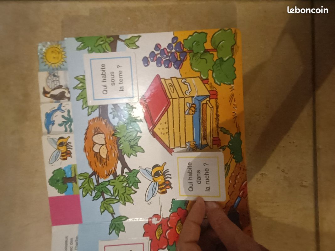 Livre "cache cache nature" (image 3)