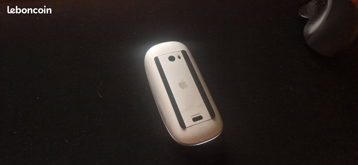 Magic Mouse (image 2)