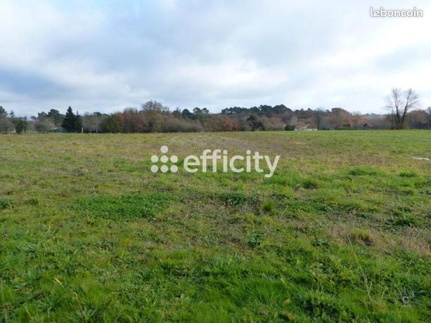 Terrain 2 542 m² Saint Gery