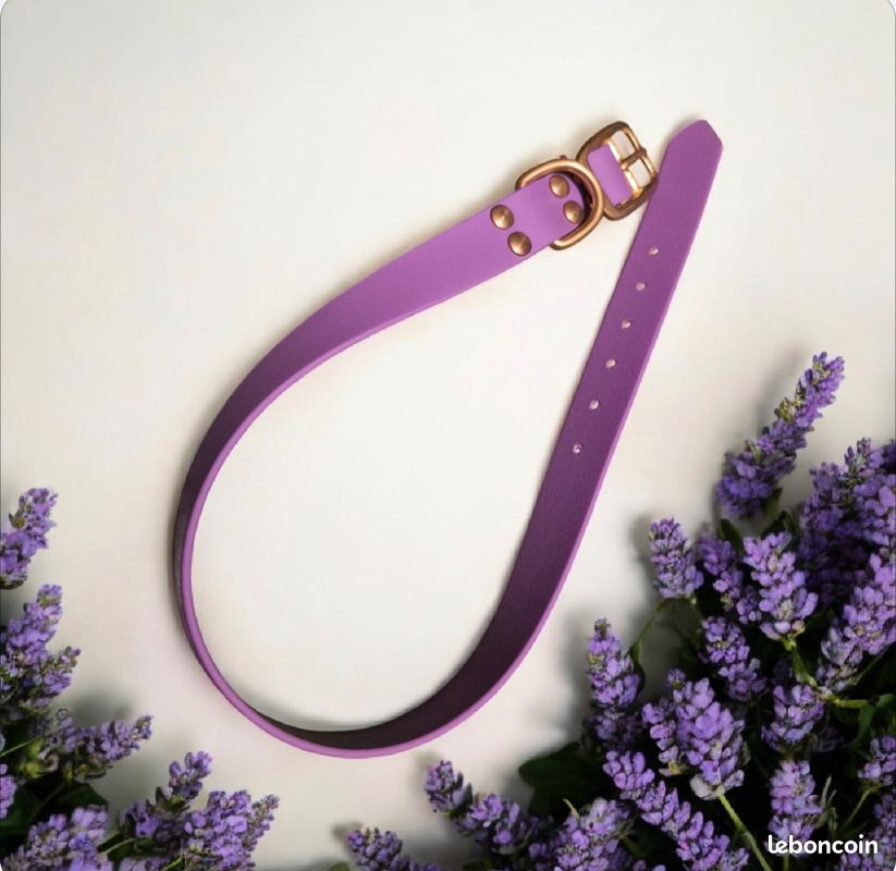 Collier XXL en biothane (image 2)