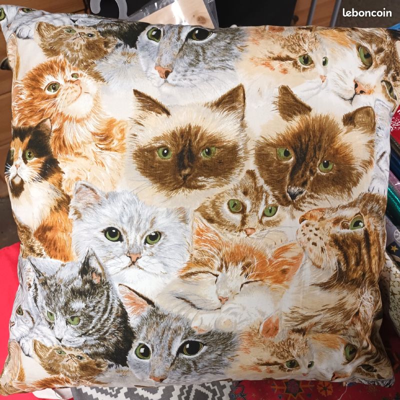 Coussin (image 1)