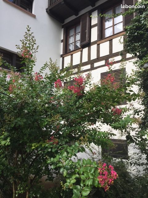 Appartement 1 pièce 28 m² · à Strasbourg · 28 m² · 600 €
