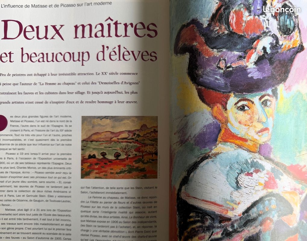 Matisse et Picasso - Dialogue de géants (image 13)