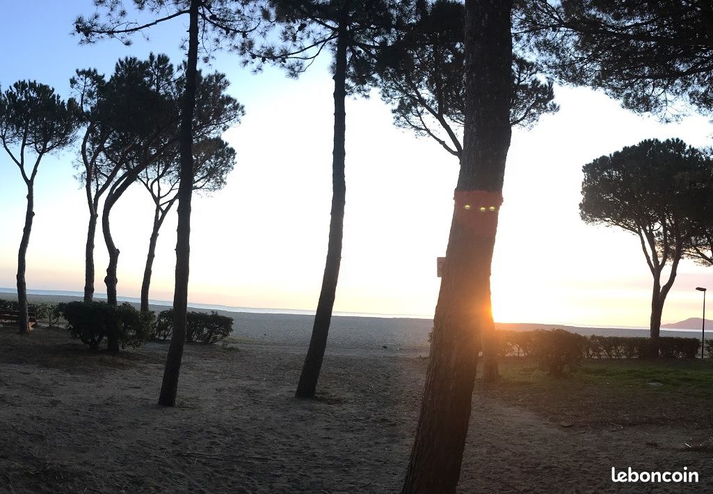 Appt 50m PLAGE, Vue MER, résidence calme (image 9)