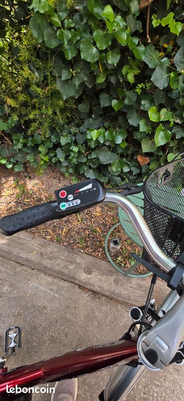 Vélo à assistance électrique (image 7)