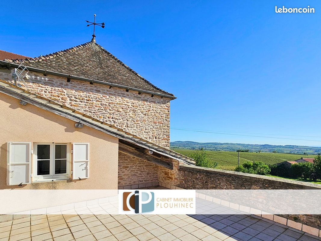 Propriété 7 pièces 216 m² (image 4)