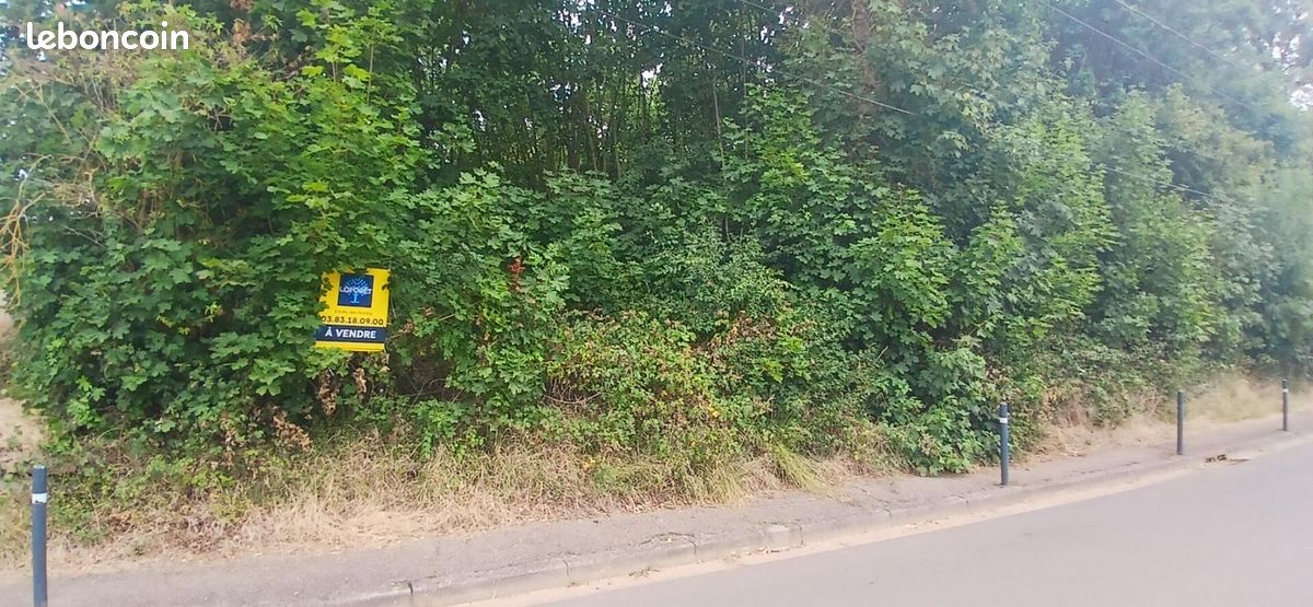 Terrain 1 116 m² Dommartemont · 319 100 €