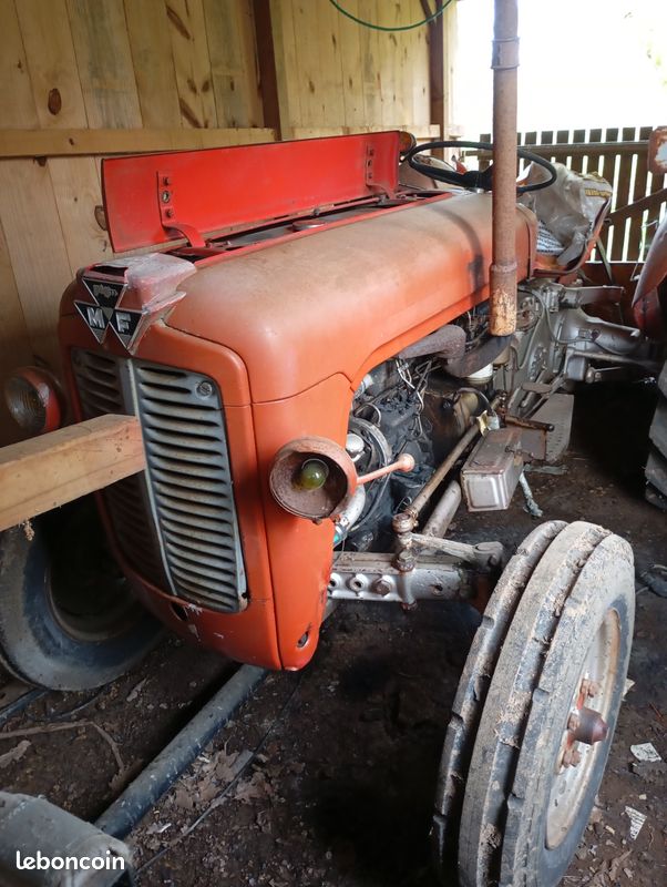 Massey Ferguson pour collectionneur (image 1)