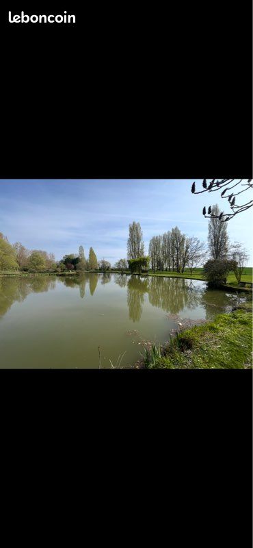 Maison 1 pièce 9000 m² · à Saint-Martin-la-Pallu · 9 000 m² · 59 900 €
