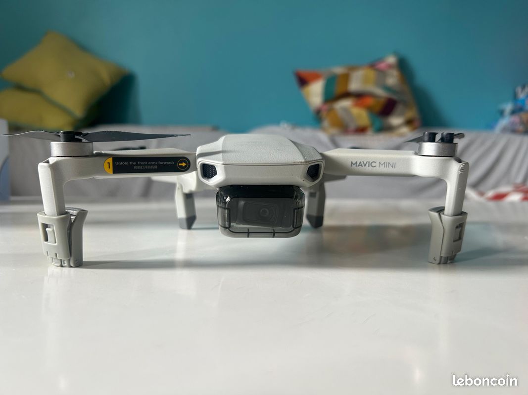 DJI Mavic Mini (image 1)