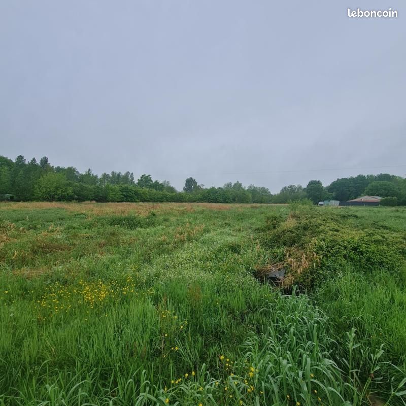 Terrain 1 636 m² Menesplet · à Ménesplet · 25 000 €