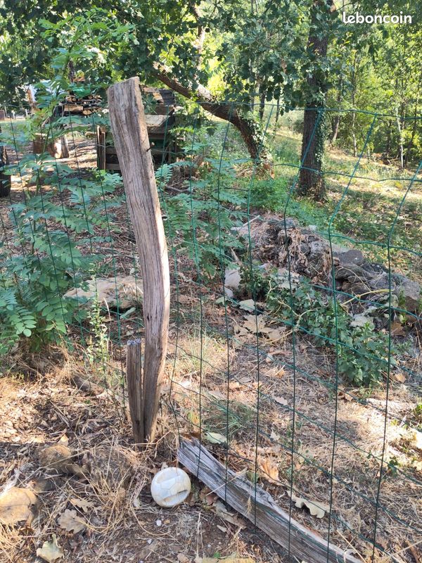 Cloture jardin (image 4)