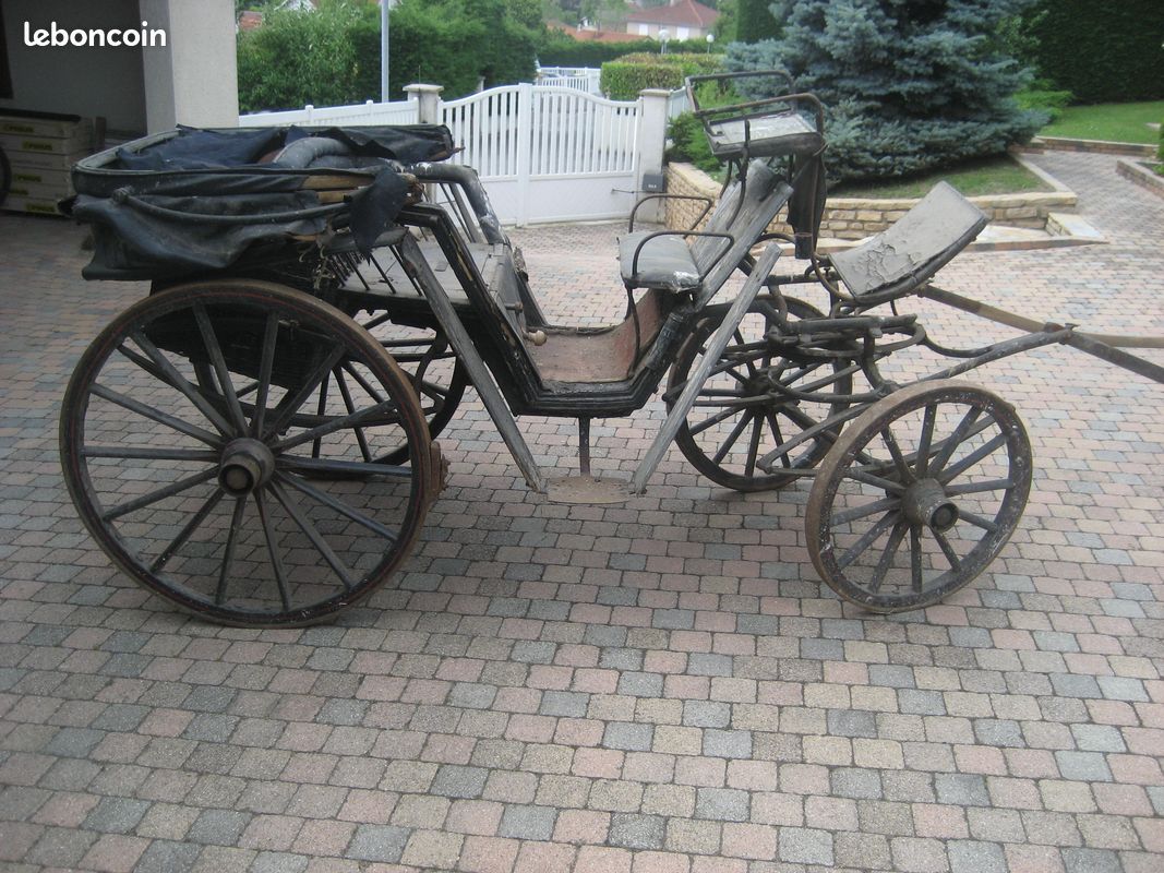 Calèches pour chevaux (image 3)