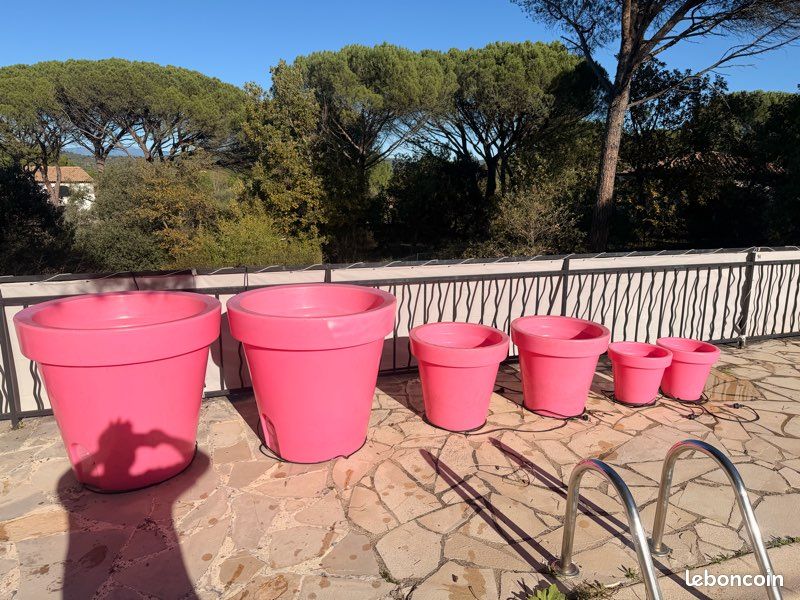 🌸 Lot de 6 Pots XXL Roses – Design Bloom Holland – (image 1)