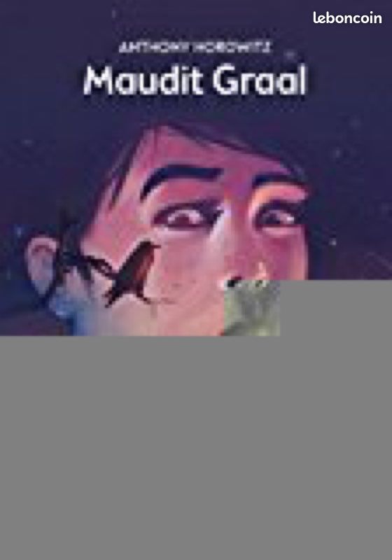Livre maudit graal (image 1)