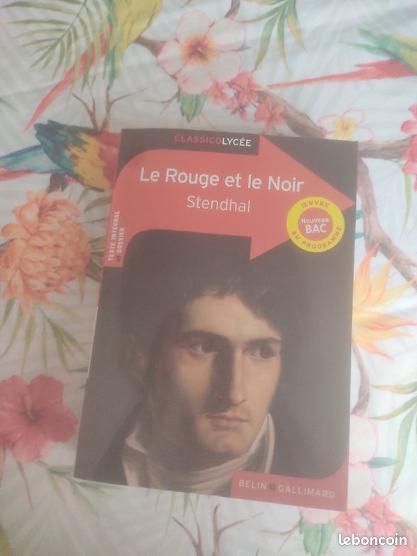 Livre "le rouge et le noir" de Stendhal classicolycée (image 1)