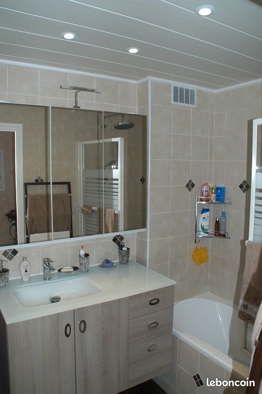 Vends meubles SDB (image 1)