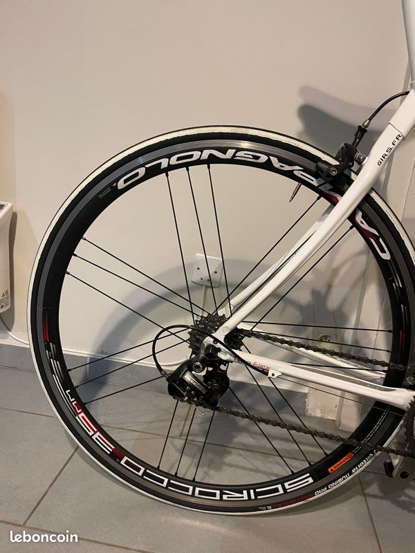 Velo Gir’s Star Équipe (image 4)