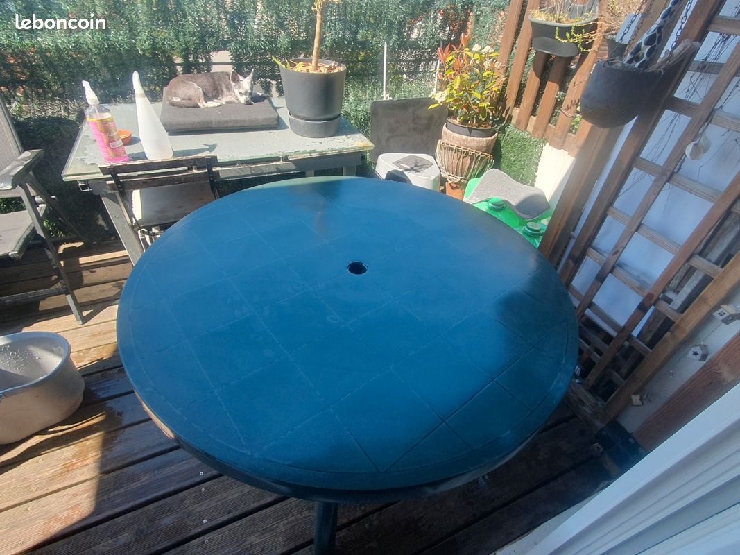 Grande table de jardin (image 1)