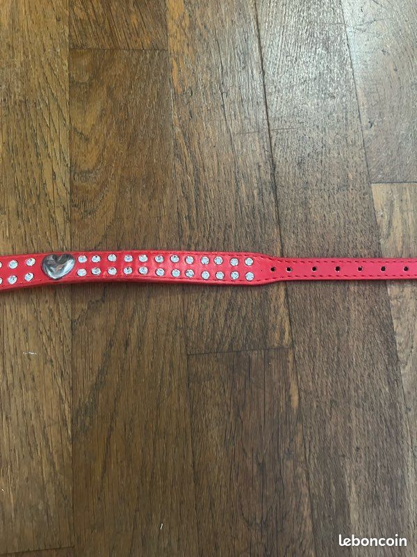 Collier chien (image 3)