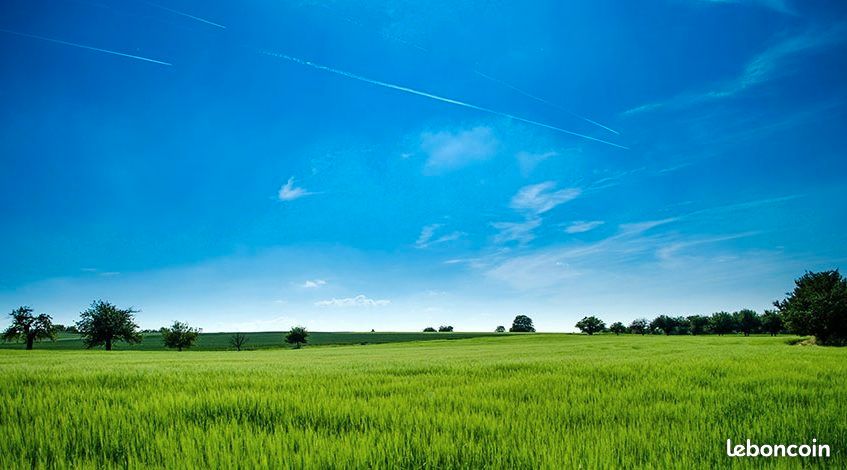 Terrain 925 m² Vicq · 205 000 €