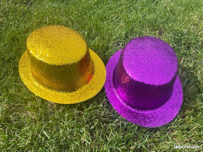 Lot 2 chapeaux de fête pailletés (image 1)