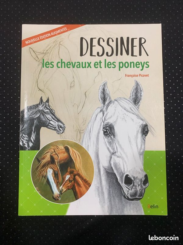 Dessiner les chevaux et les poneys - manuel (image 1)