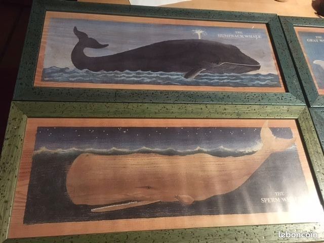 4 cadres Baleine (image 2)
