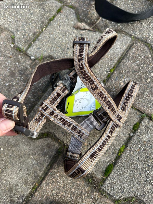 Harnais chien taille S (image 4)