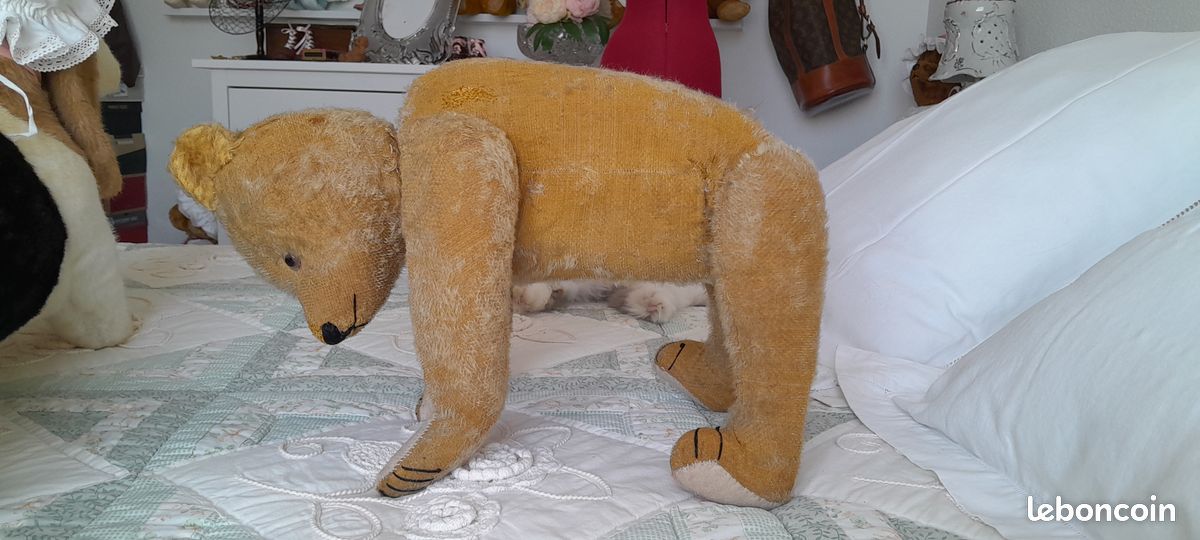 Rare et très bel ours ancien allemand Petz (image 5)