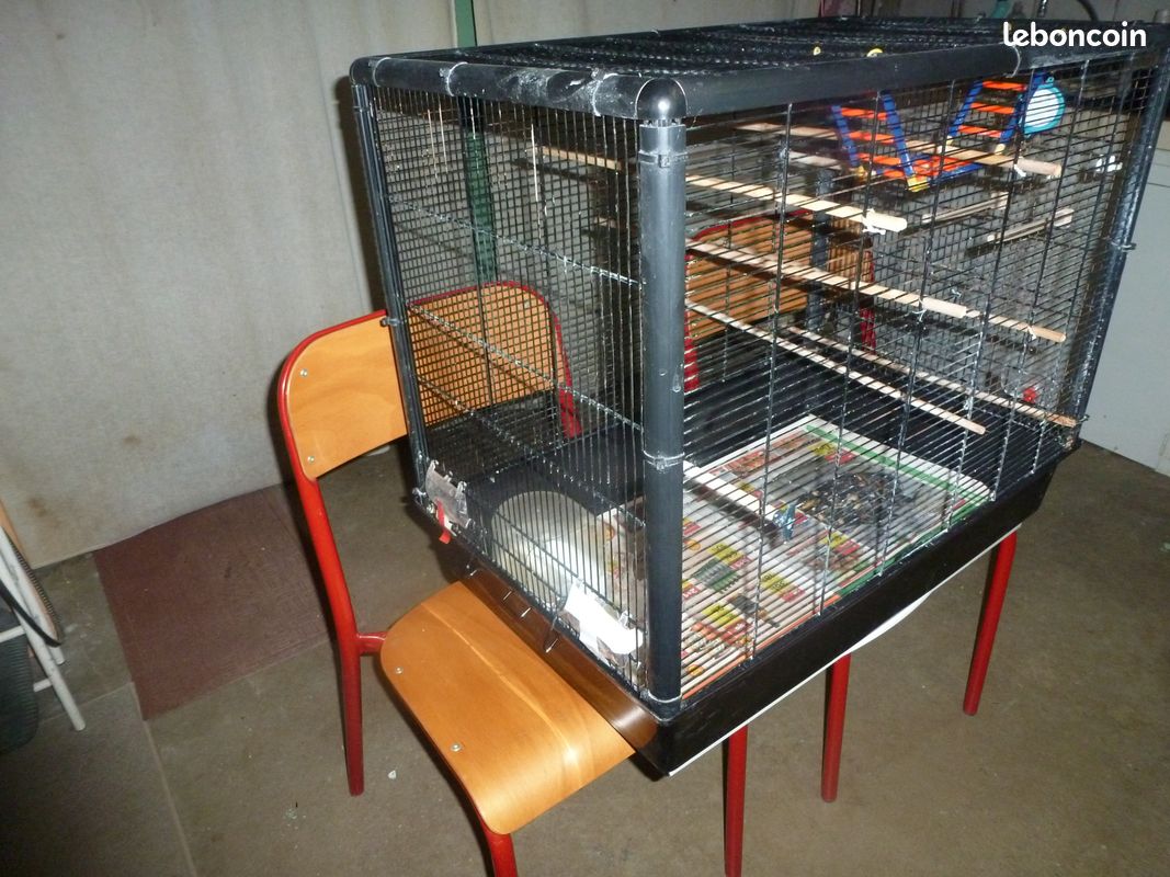 Cage à oiseaux (image 2)