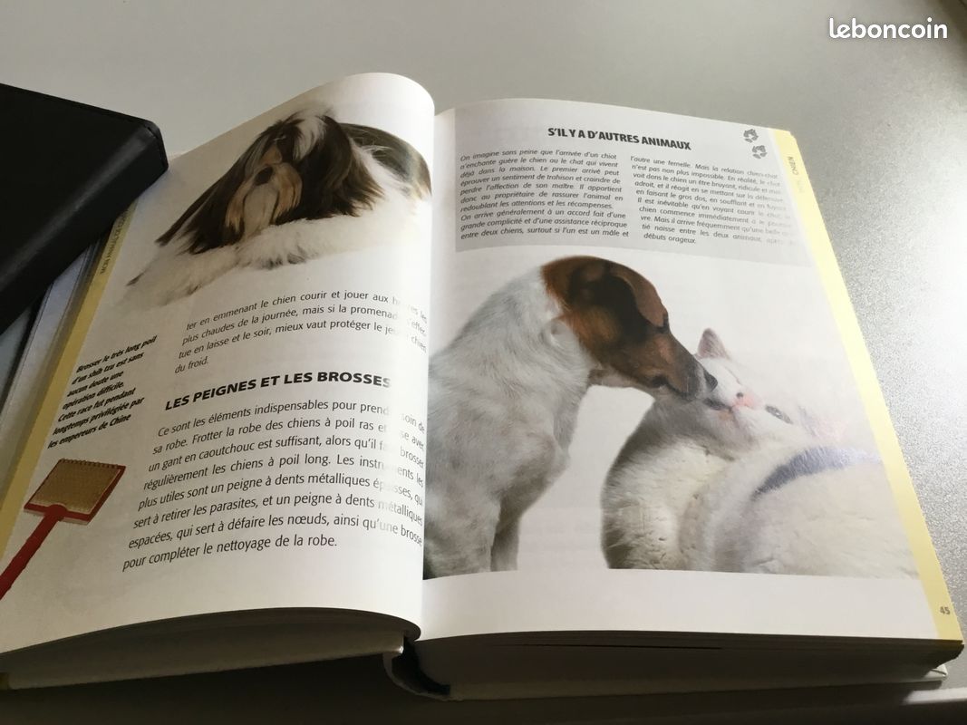Mon Animal de Compagnie (image 5)