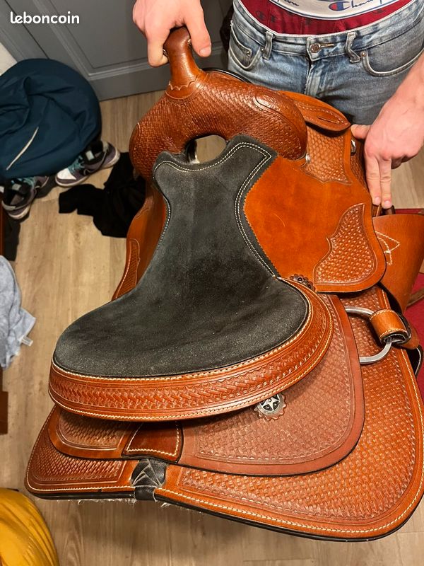 Construire le box idéal pour vos chevaux - Le cheval