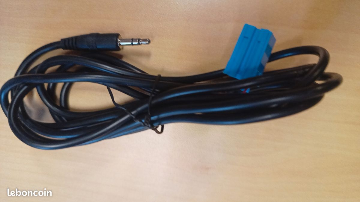 Câble Audio Aux jack 3.5 Bla (image 1)