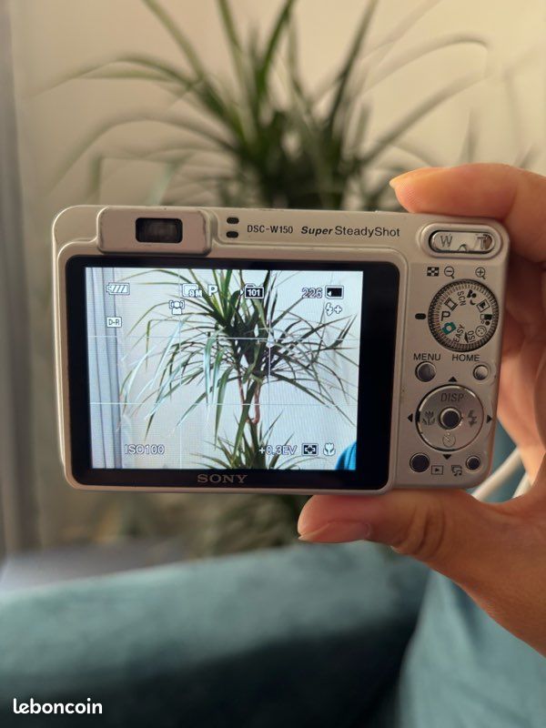Sony DSC W150 (image 6)