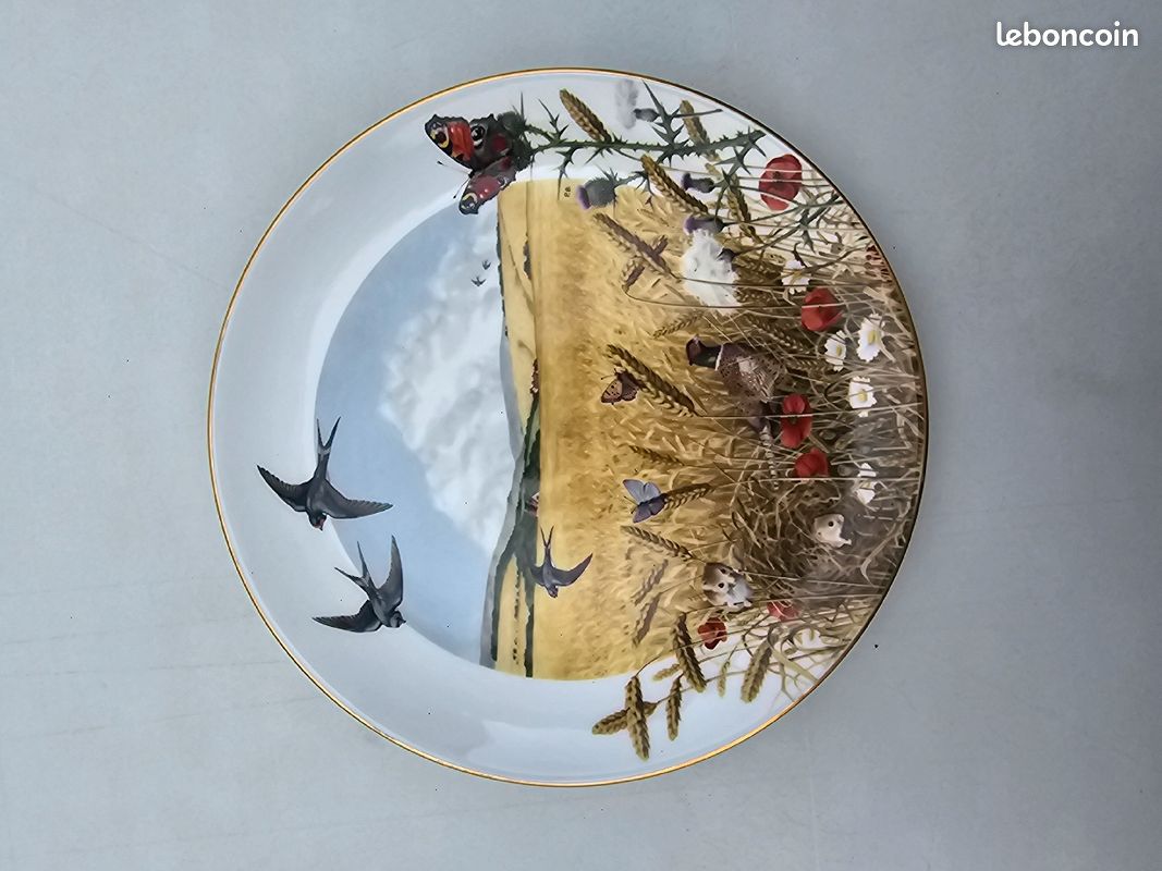 Assiette royal worcester porcelain août england (image 1)