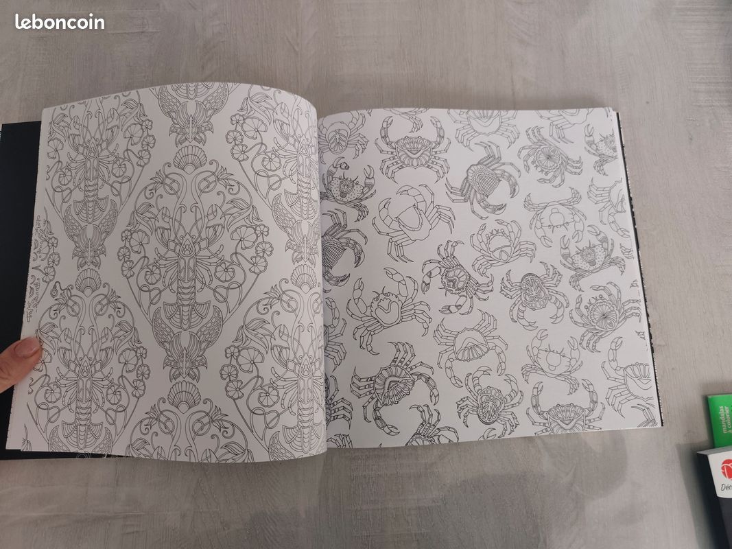Océan Perdu – Johanna Basford – Livre de coloriage adulte & aventure sous-marine (image 3)