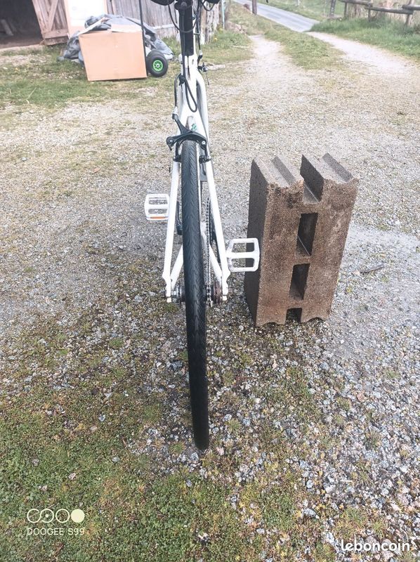 Vélo fixie alu roue réversible pour mode pignon libre (image 3)