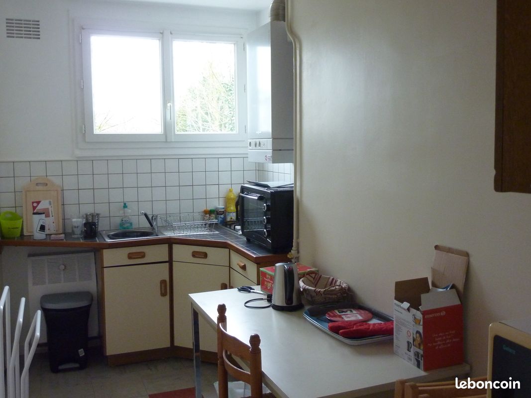 Appartement meublé F1 bis - Limoges 87100 (image principale 0)