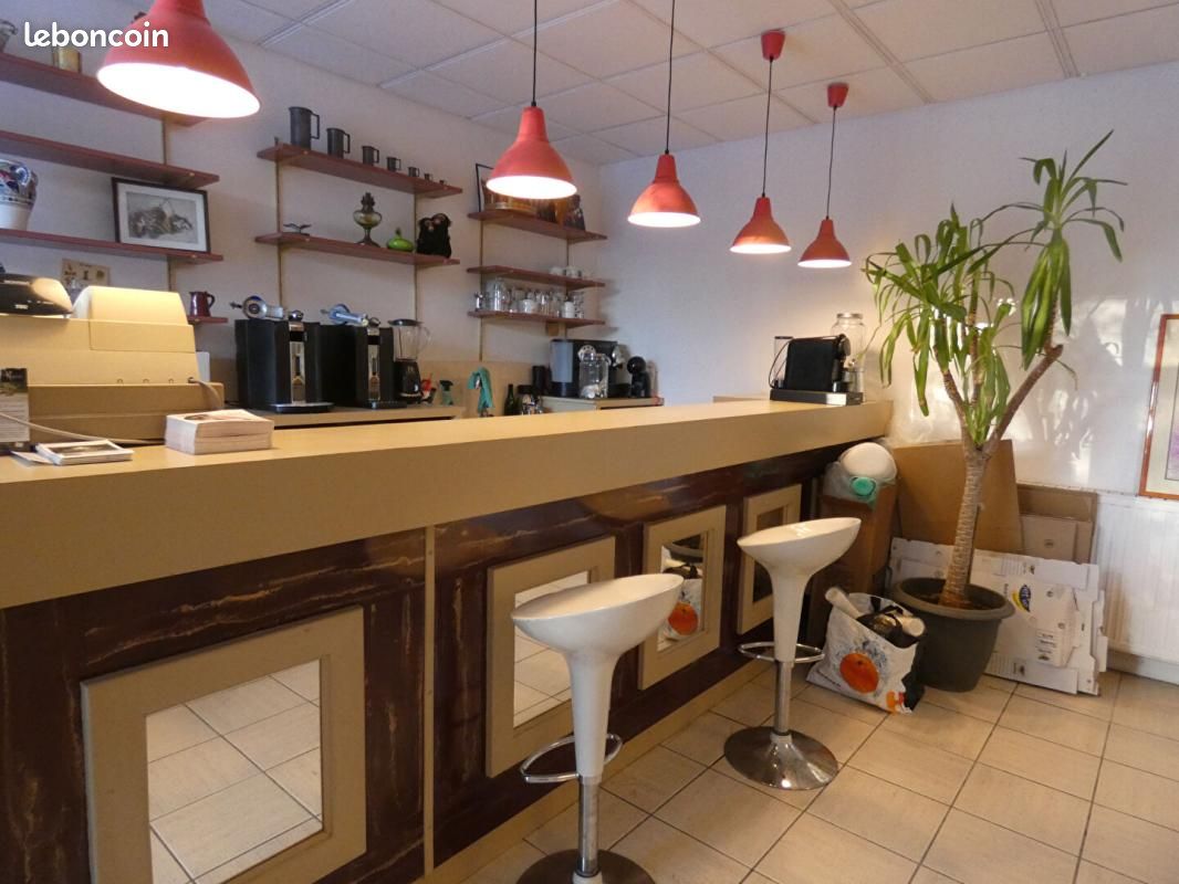 Maison 16 pièces 1 000 m² (image 11)