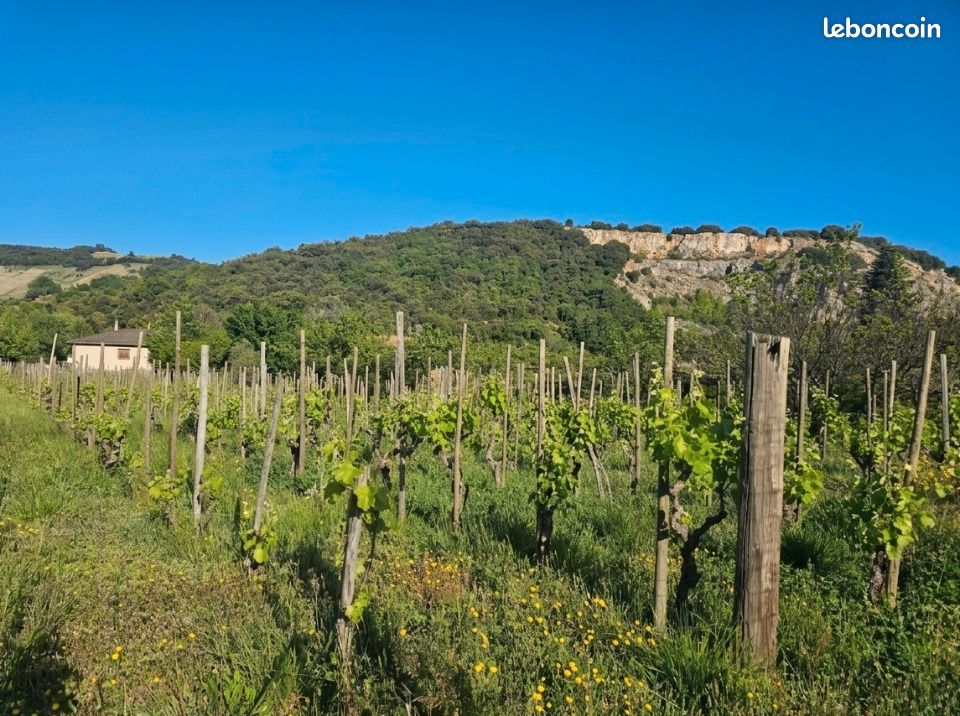 Terrain 520 m² · à Cornas · 129 000 €