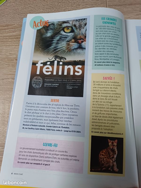 Magazine Mon Chat (image 5)