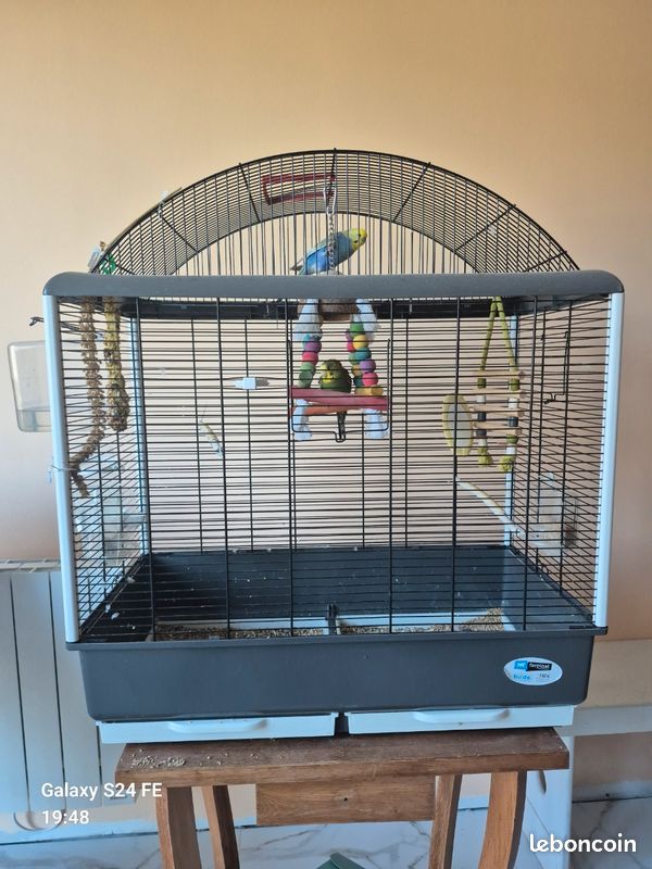Cage perruches (image 1)