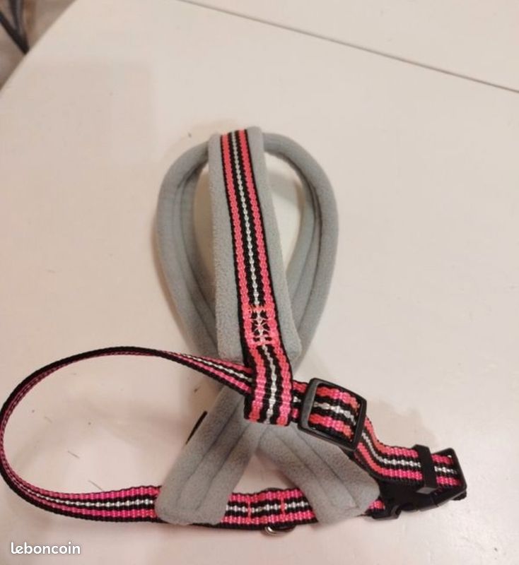 Harnais petit chien (image 2)