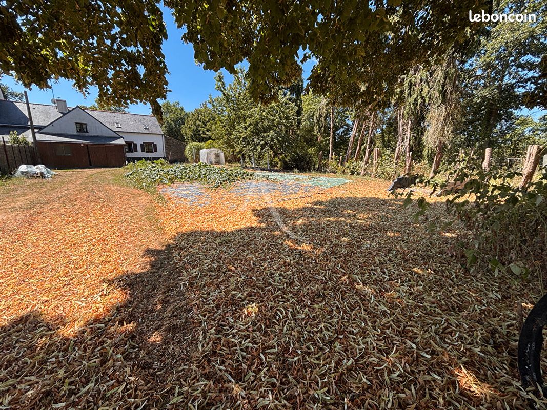 Longère 9 pièces 180 m² (image 11)