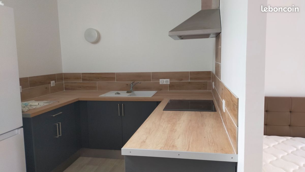 Appartement 1 pièce 41 m² · à Arcis-sur-Aube · 41 m² · 480 €