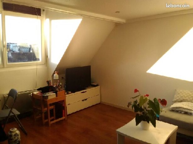 Duplex 1 pièce 23 m²