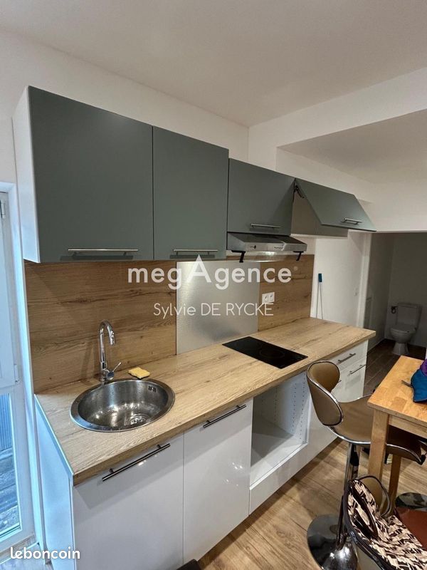 Immeuble 504 m² SENS (image 3)