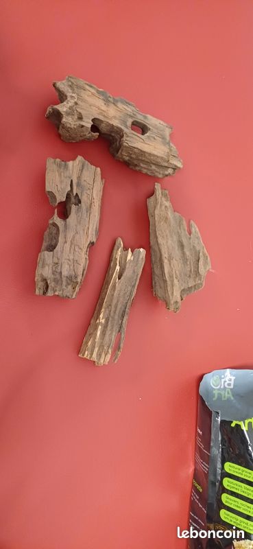 Accessoires crevettes (image 2)